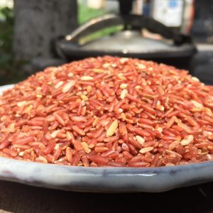 Gạo Lứt Đỏ Dẻo Đồng Bằng